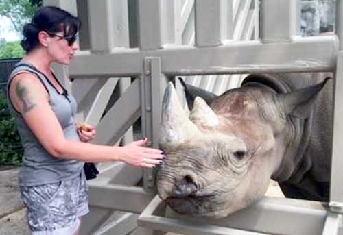 Jenni George, CVPM, Hospital Administrator Jenni George, CVPM, Hospital Administrator