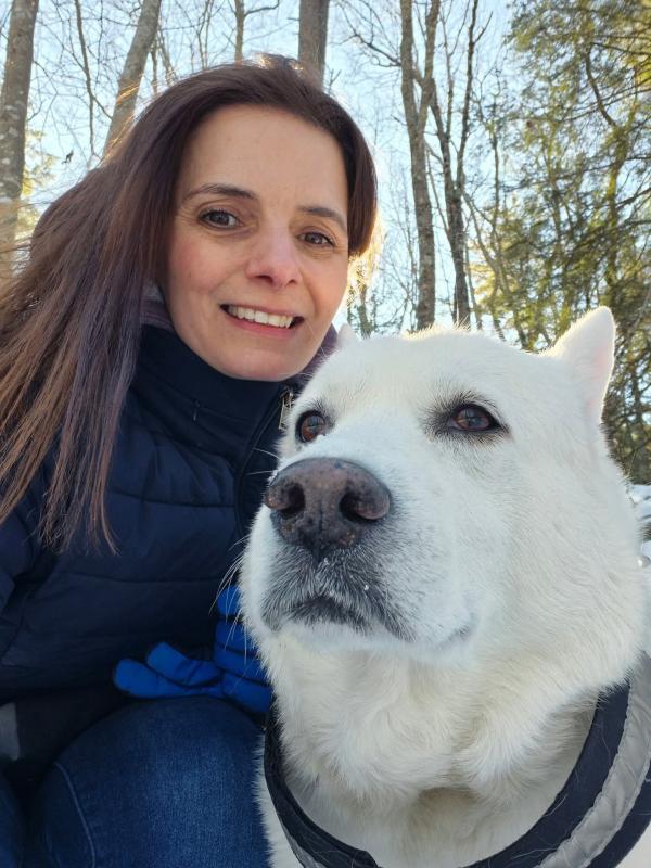 Carrie , Reception Carrie , Reception